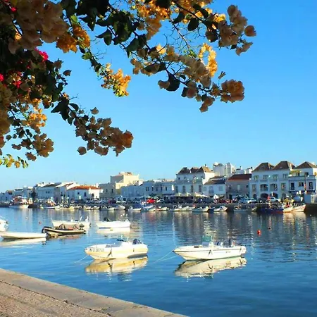 Appartement Perogil Girassol - Elegant With Pool *